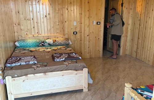 Wasit Bed & Breakfast | Musa Camp