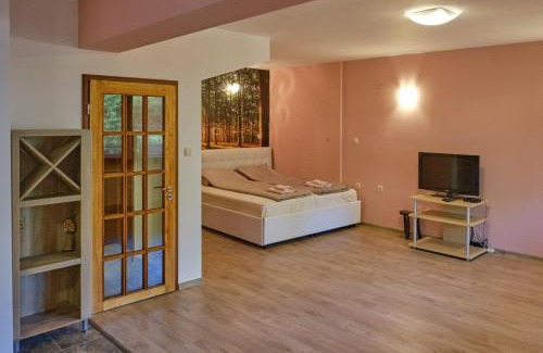 Pleven Apartment | Mushrooms house