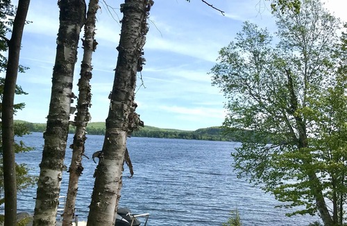 Lake of Bays Cottage | Muskoka Majesty The Sugarbush Cottage