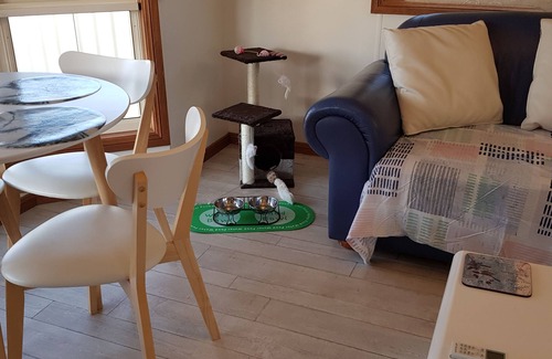 Rutherglen Bed & Breakfast | Must Love Dogs B&b