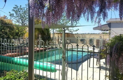 Rutherglen Bed & Breakfast | Must Love Dogs B&B & Self Contained Cottage