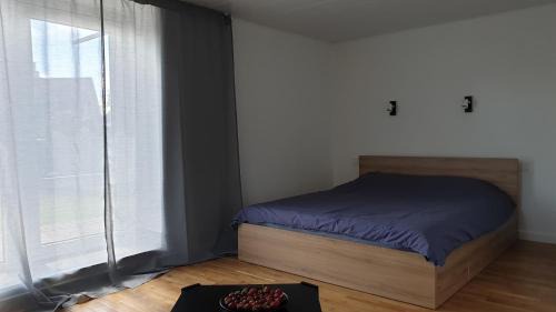 Anyksciai House | Muziejaus 10 studija