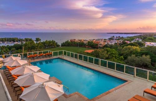 Coconut Grove Apartment | MVR - Elevate Your Stay with Stunning Ocean Views