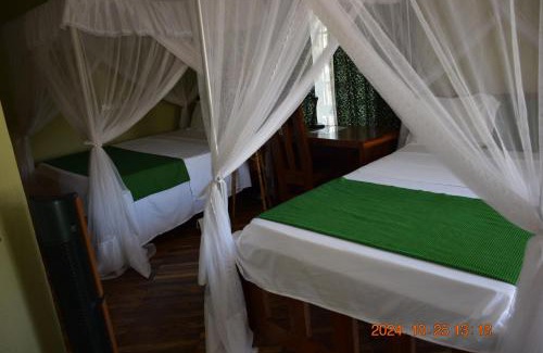 Mto wa Mbu Bed & Breakfast | Mwi Village House