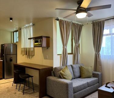 Fresnillo Apartment | Dpto Laberinto 4