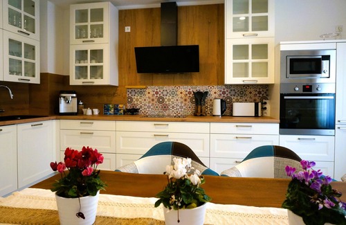 Frankenthal Apartment | "My Apartment" Flowers with fireplace for up to 10 people