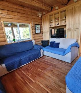 Mount Shasta House | My Dream Home