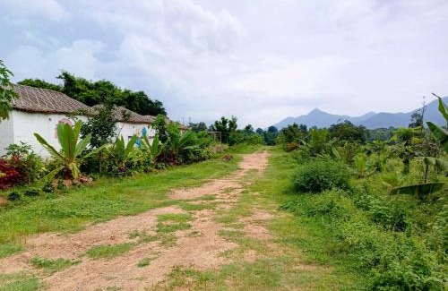 Alaparthi Resort | My Dream Land Nature Resort