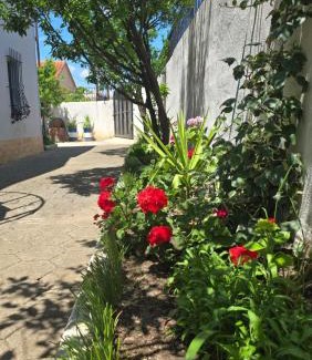 Lezhe Villa | My Home Two bedrooms