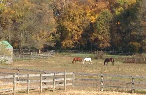 Otterbien Home Apartment | My Horse Farm Dream