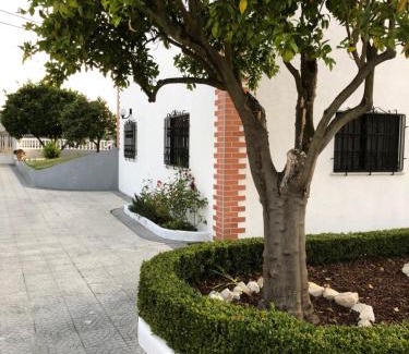 Cantanhede Apartment | My house in Mira - Cantanhede Mira Beach Cantanhede