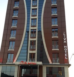 Kayseri City Center Hotel | My Liva Hotel