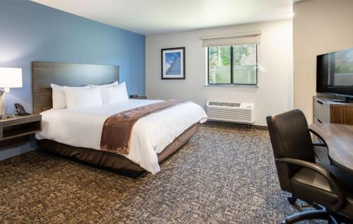 Vancouver Hotel | My Place Hotel-Vancouver, WA