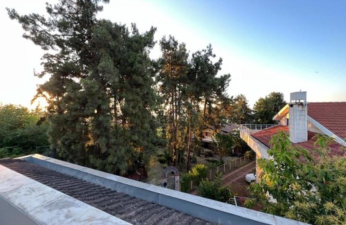 Akcaabat Villa | My Villa Yıldızlı