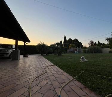 Palestrina House | Myosotyss apartment
