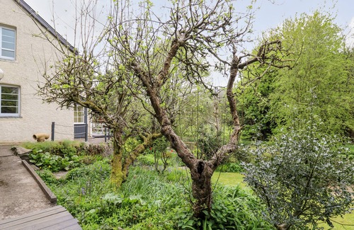 Knighton Cottage | Myrtle Villa