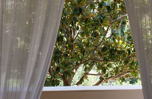 Dhrakata Apartment | Myrtos Cottages Terpsihore