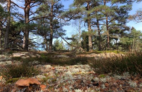 Lur House | Mysig och modern Stuga på Snögård, nära havet och naturen