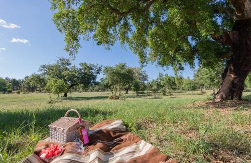 Sines House | MyStay - Herdade do Vale da Abelheira