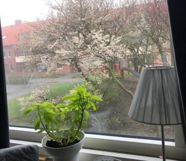 Gamla Staden-Sandskogen House | Nära till allt, i delad lägenhet