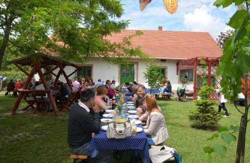 Pusztaszer House | Németh Tanya Vendégház