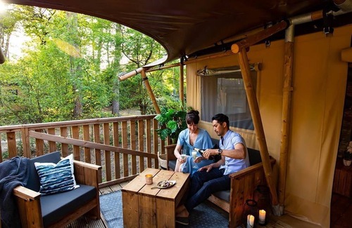 Mol Cabin | n/a