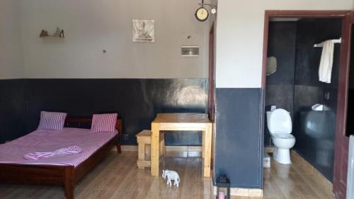 Republic of the Congo Hotel | N'goki beach