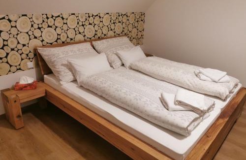 Borova Lada Apartment | Naše Borovka