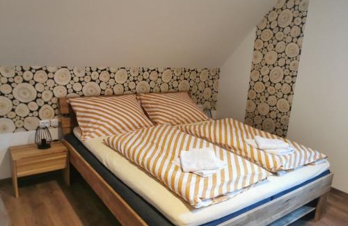 Borova Lada Apartment | Naše Borovka