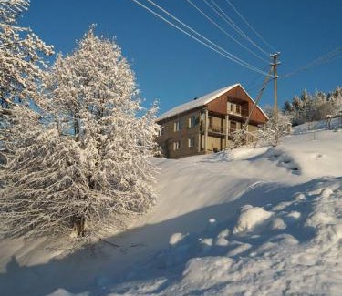 Podobovets House | Na Gorbochku