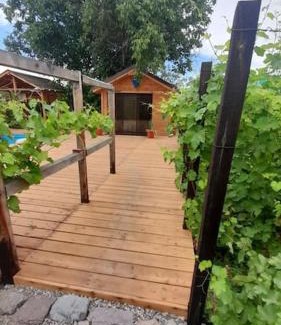 Almaty Province House | Nada vineyard