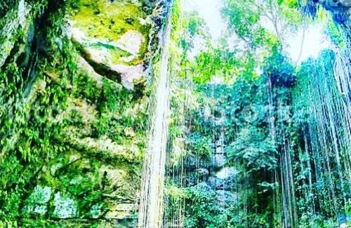 Leona Vicario House | Nagual Yoga Jungle Retreat @Route De Cenote