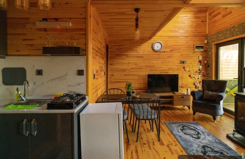 Sapanca Cabin | NAİLA BUNGALOV SAPANCA PRİVATE