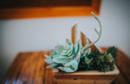 Khanh Hai House | Nai's house - Homestay