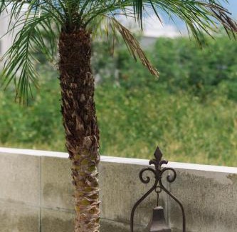 Tokeshi House | Nakagami-gun - House/Vacation STAY 80729