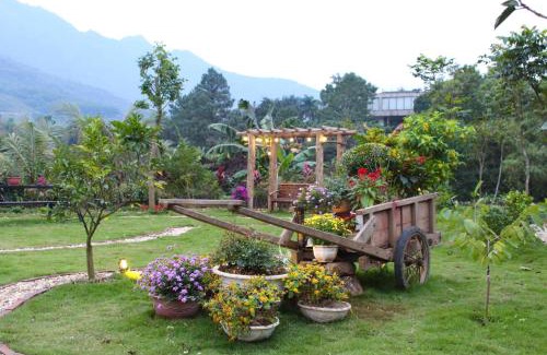 Thach That Resort | Nam Vien Mountain View
