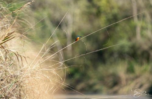 Bardia Bed & Breakfast | Namaste Bardiya Resort