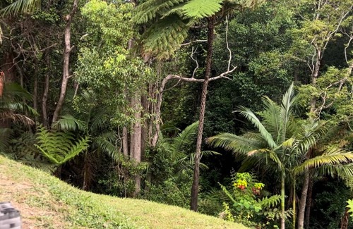 Nambucca Heads Apartment | Nambucca Rainforest Retreat. Secluded, Walkable