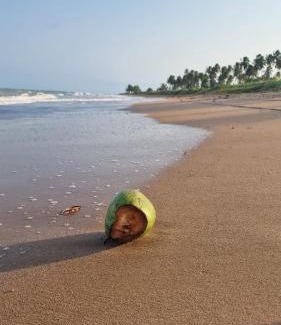 Sao Miguel dos Milagres House | Namorada Atauá