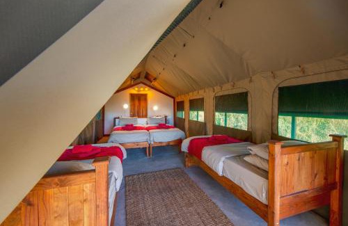 Kongola Other | Namushasha River Camping2Go