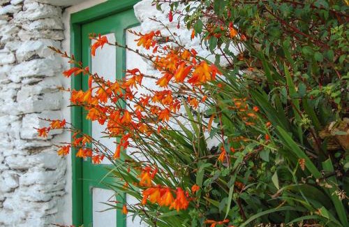 Caherkeen House | Nana's House