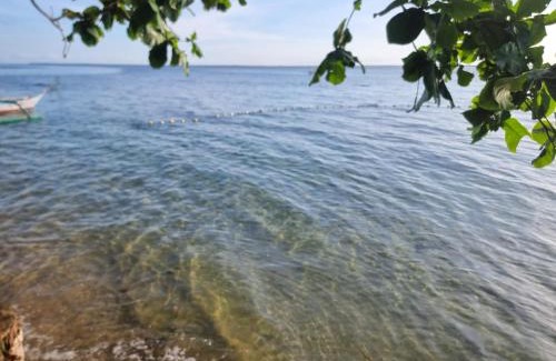 Quezon Resort | Nanay Santa's Garden Beach Resort