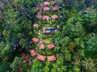 Payangan Resort | Nandini Jungle by Hanging Gardens