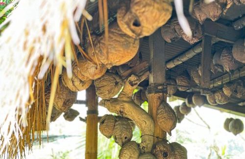 Taro House | Nang Taro Home Stay