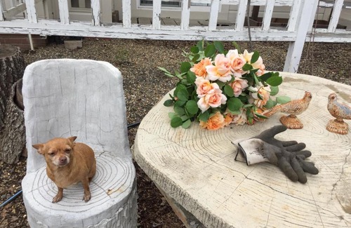 St. Helena Bed & Breakfast | Napa Farmhouse Inn