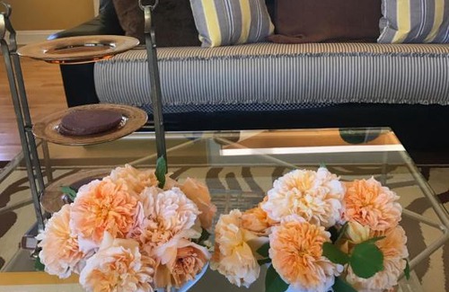 St. Helena Bed & Breakfast | Napa Farmhouse Inn