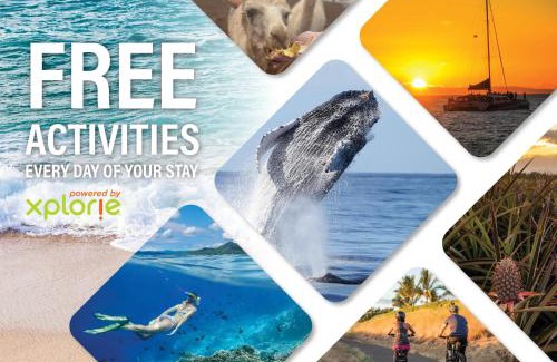 Napili House | Napili Point A9 · NP A9 OceanFront 1BD Tropical Getaway w Ocean