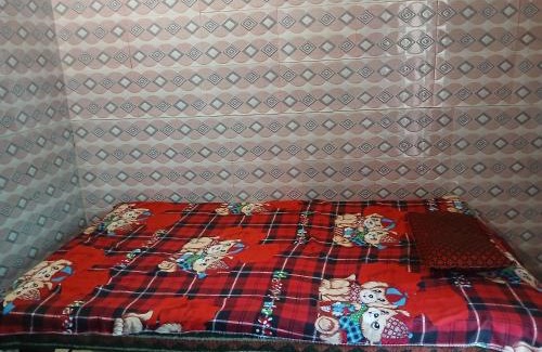 Bhagwanpur House | Narendra Home stay