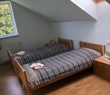 Fohnsdorf House | Narrenhaus