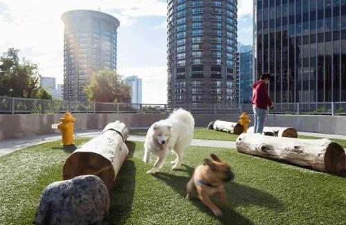 The Gulch Apartment | Nashville Cental Luxe 2 Bed 2 Bath Suite